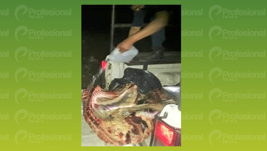 Secuestraron kilos de carne para consumir podrida
