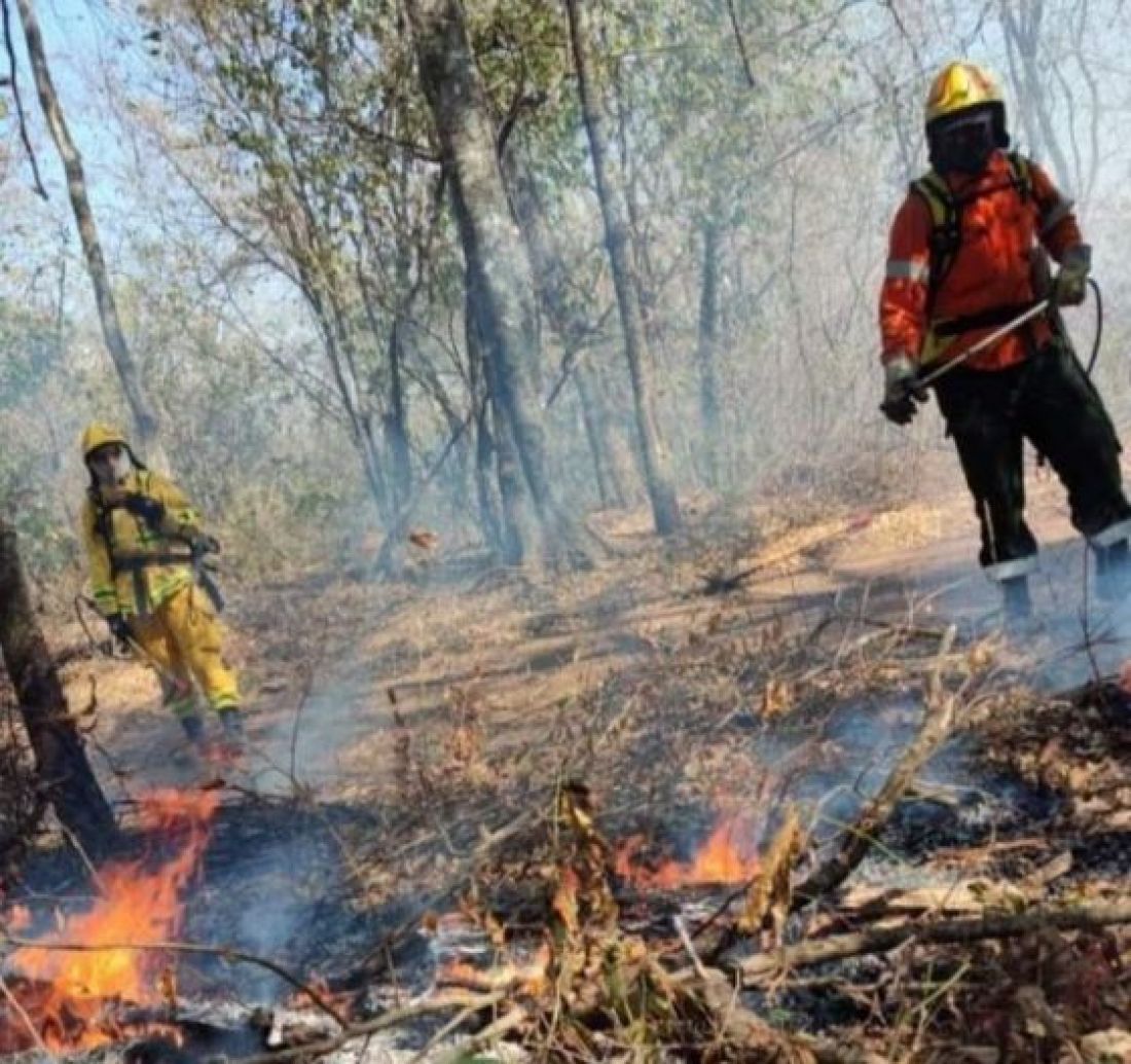 Advierten que en Colonia Santa Rosa trabajan “a pulmón” para combatir los incendios