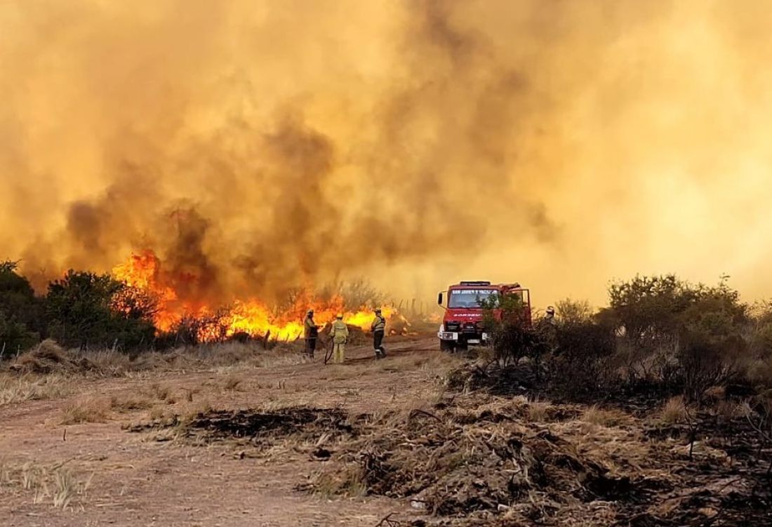 Salta y otras 12 provincias reportan graves incendios forestales -  Argentina - Profesional FM 89.9 Salta, Argentina